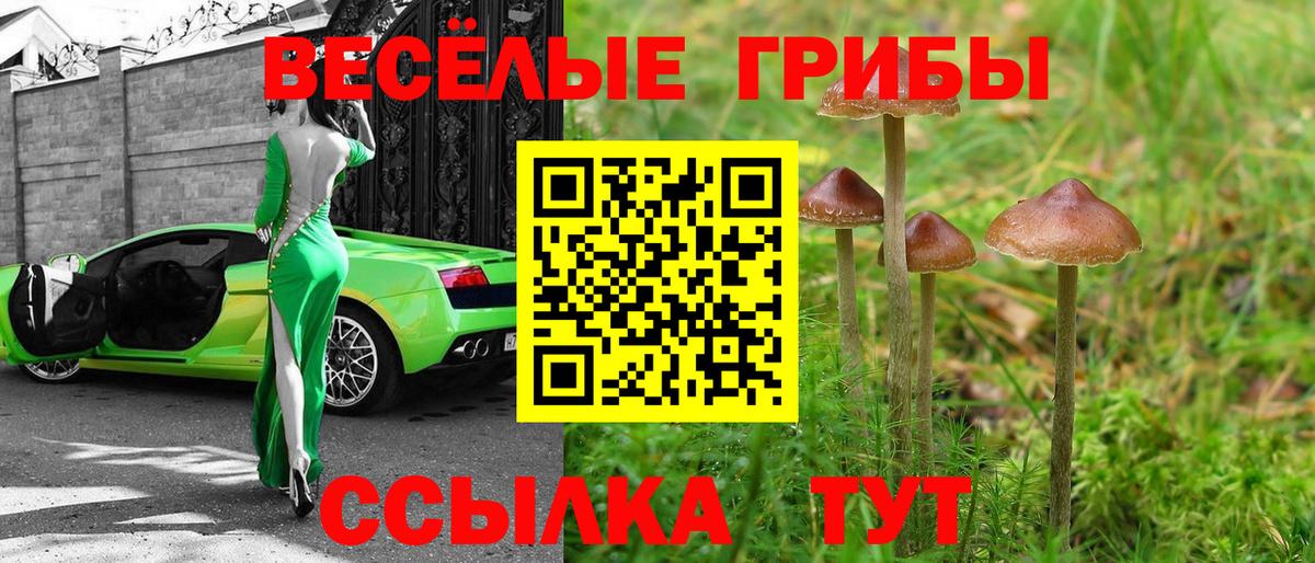 Шелехов  Псилоцибиновые грибы Psilocybe  Галлюциногенные грибы Psilocybe  Вход с VPN 